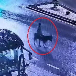 The suspect who robbed the jewelry store with a forklift and fled on a donkey was caught