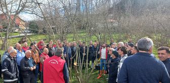 19 Mayıs ilçesinde fındık budama eğitimi verildi