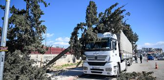 Adana'da kuvvetli rüzgar hayatı olumsuz etkiledi