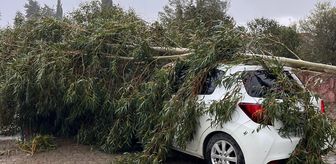 Adana'da sağanak ve şiddetli rüzgar hayatı olumsuz etkiledi