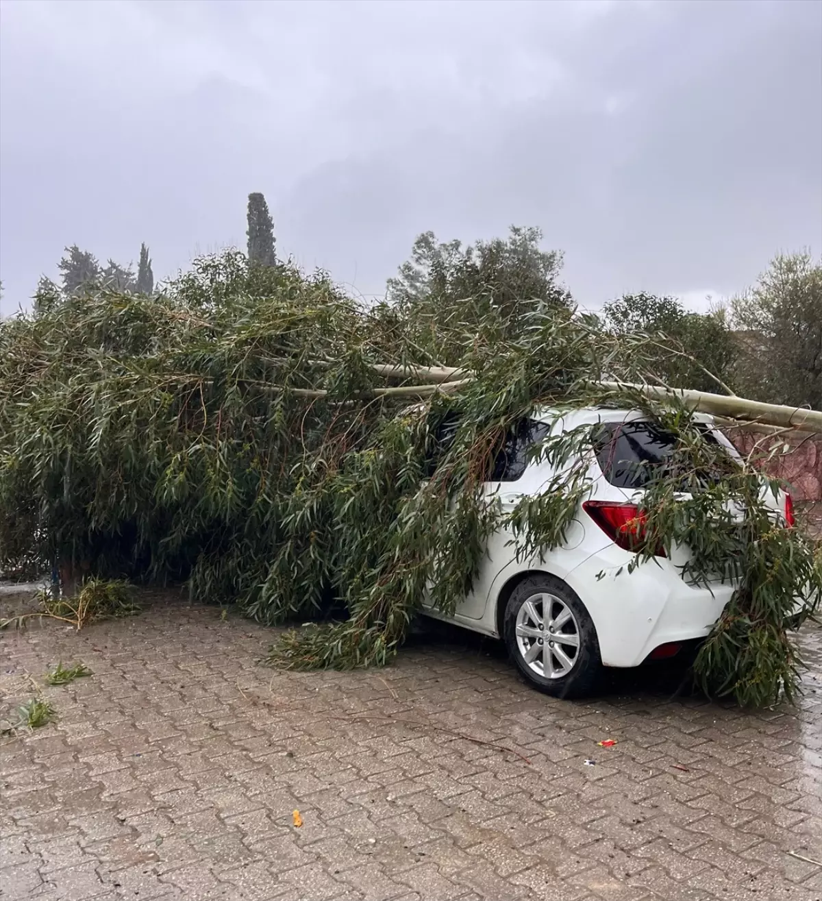 Adana'da sağanak ve şiddetli rüzgar hayatı olumsuz etkiledi