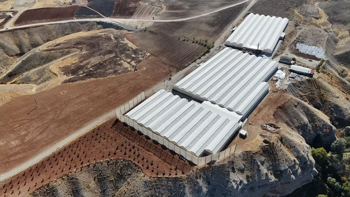 Adıyaman'da kıraç arazide süs bitkisi üretimiyle 20 kişiye istihdam sağladı