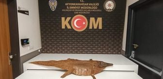 Afyonkarahisar'da timsah derisi ele geçirildi