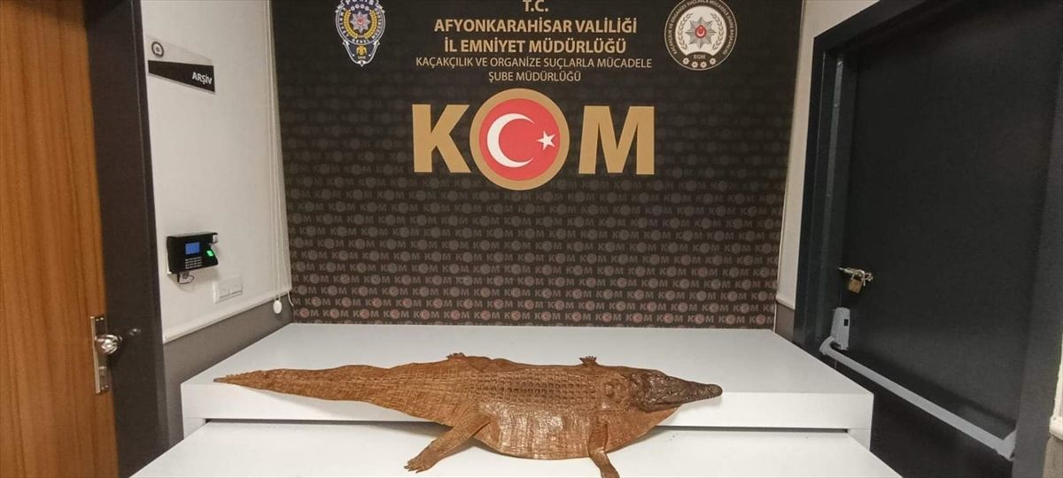 Afyonkarahisar'da timsah derisi ele geçirildi