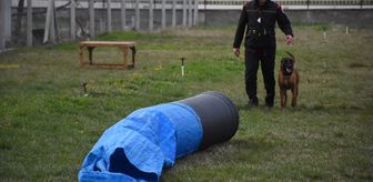 Afyonkarahisar'da Uluslararası ve Ulusal Arama Köpekleri Sınavı başladı