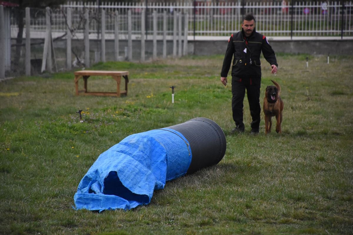 Afyonkarahisar'da Uluslararası ve Ulusal Arama Köpekleri Sınavı başladı