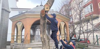 Akyurt'ta kuşlar için çeşitli yerlere yuva asıldı
