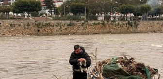Alanya'da çayda mahsur kalan kediyi vatandaş kurtardı