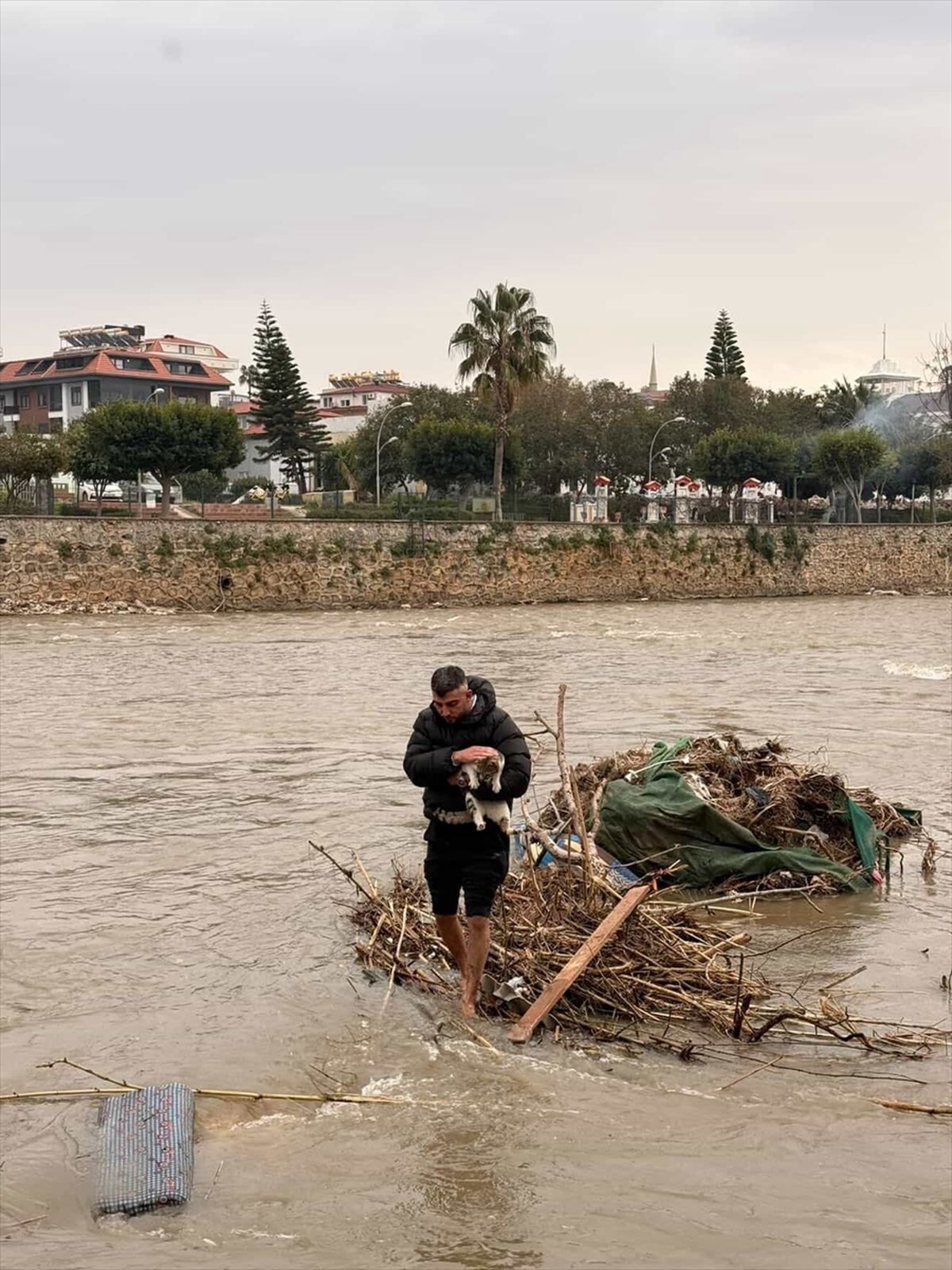 Alanya'da çayda mahsur kalan kediyi vatandaş kurtardı