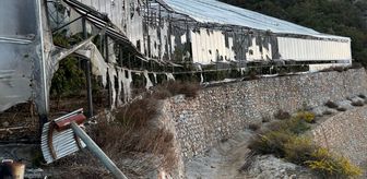 Alanya'da kundaklama iddiasıyla yakalanan 3 zanlı tutuklandı