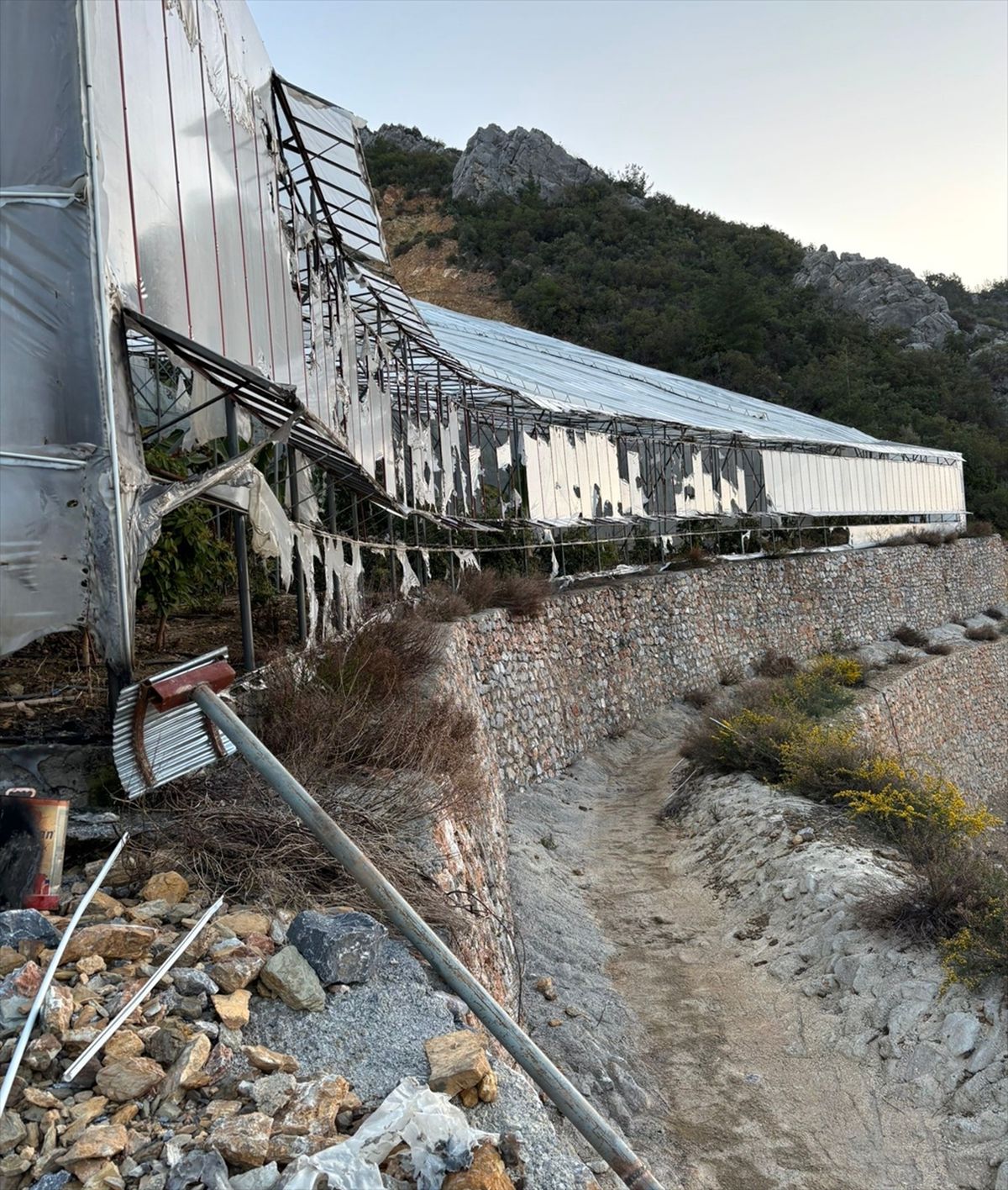 Alanya'da kundaklama iddiasıyla yakalanan 3 zanlı tutuklandı