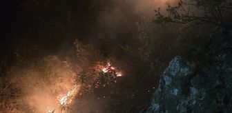 Alanya'da ormanlık alanda çıkan yangın söndürüldü