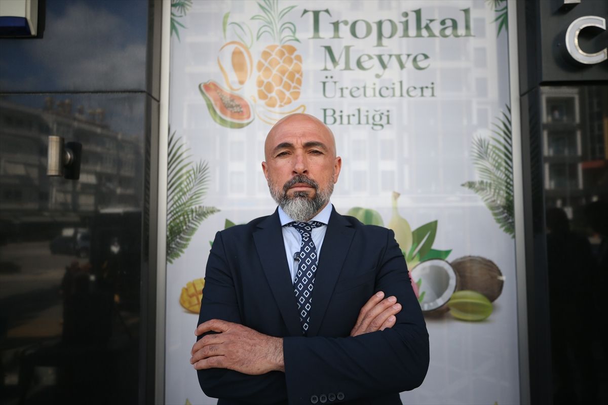 Alanya'da tropikal meyve üreticilerine iyi tarım uygulamasına yönelik eğitim verilecek