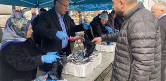 Alaşehir'de ilçe sakinlerine 8 ton hamsi dağıtıldı