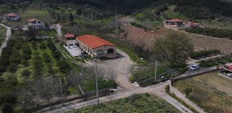 Anadolu'nun zeytinyağı mirası İzmir'deki 'tadım kütüphanesinde' buluştu