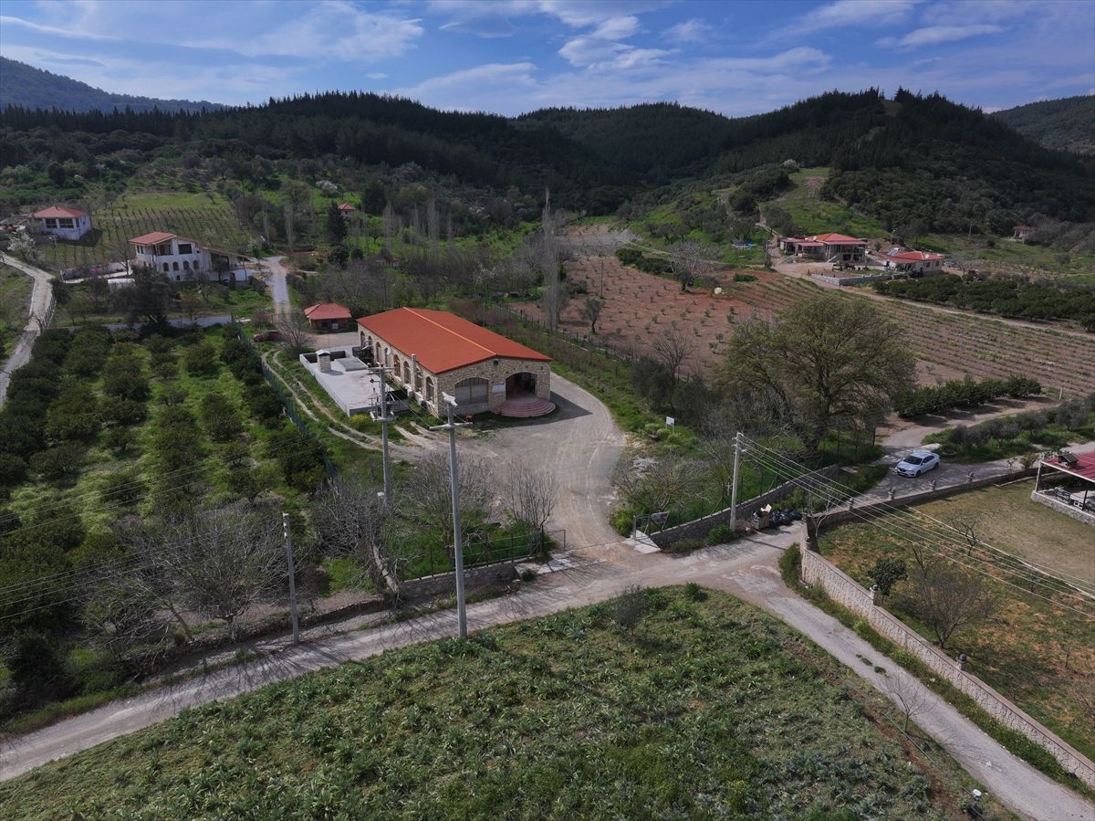 Anadolu'nun zeytinyağı mirası İzmir'deki "tadım kütüphanesinde" buluştu