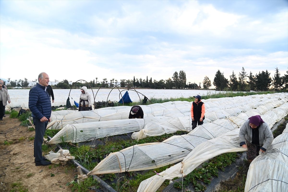 Anamur Belediye Başkanı Deniz, tarım işçisi kadınları ziyaret etti