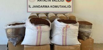 Antalya'da 500 kilogram kaçak tütün ele geçirildi