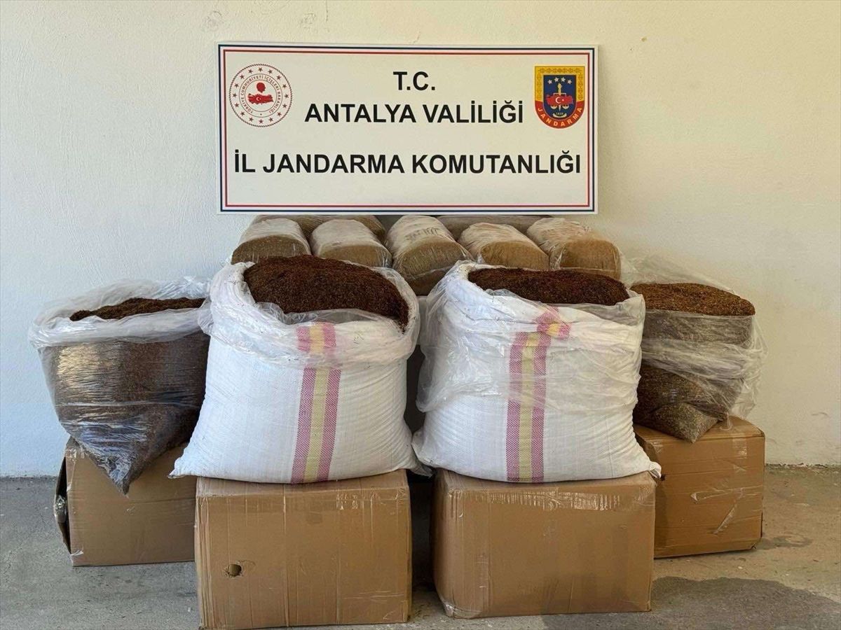 Antalya'da 500 kilogram kaçak tütün ele geçirildi