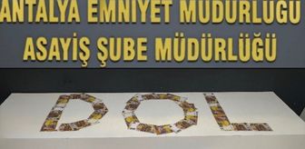 Antalya'da dolandırıcılık operasyonunda yakalanan 2 zanlı tutuklandı