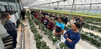 Antalya'da üniversite öğrencileri çilek üretim tesisinde 'topraksız tarım'la tanıştı