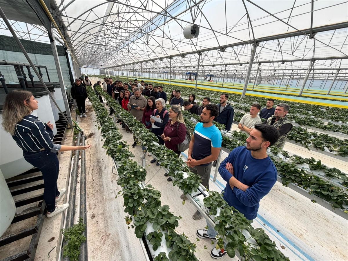 Antalya'da üniversite öğrencileri çilek üretim tesisinde 'topraksız tarım'la tanıştı