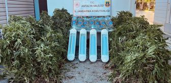 Antalya'da uyuşturucu operasyonunda 1 zanlı yakalandı