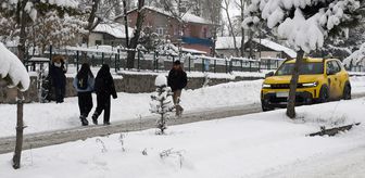 Ardahan ve Kars'ta kar yağışı etkili oldu