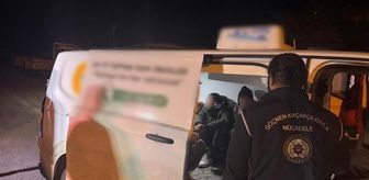 Artvin'de 10 düzensiz göçmen yakalandı, 2 zanlı tutuklandı
