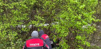 Artvin'de dereye devrilen otomobilin sürücüsü yaralandı