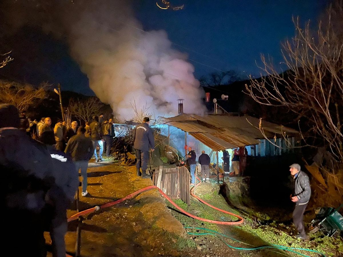 Artvin'de evde çıkan yangın söndürüldü