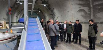 Artvin Valisi Ergün, mantar üretim tesisinde incelemelerde bulundu