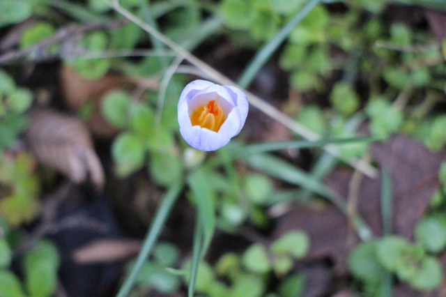 Europe has officially set its sights on us! They want to steal our national wealth