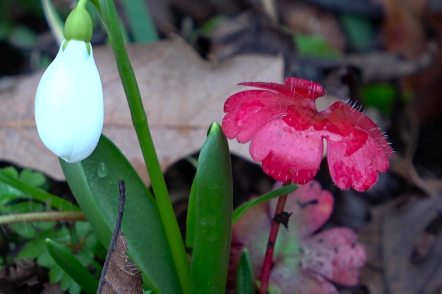 Europe has officially set its sights on us! They want to steal our national wealth