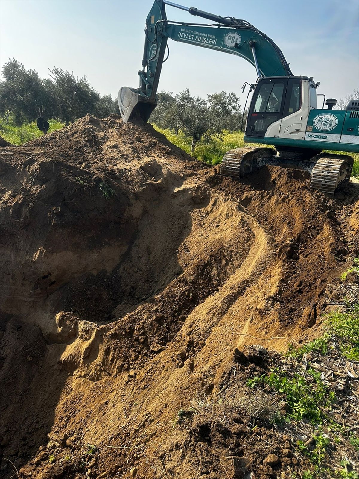 Aydın'da 17 yıldır kayıp iki kardeş için kazı çalışması başlatıldı