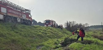 Balıkesir'de otomobilin devrilmesi sonucu 1 kişi yaralandı