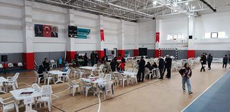 Baskil'de 'Akıl ve Zeka Oyunları Turnuvası' düzenlendi