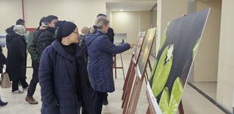 Beyşehir'den kısa kısa