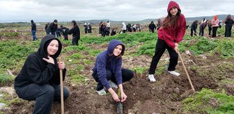 Biga'da 8 Mart Dünya Kadınlar Günü dolayısıyla hatıra ormanı oluşturuldu