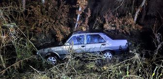 Bilecik'te devrilen otomobilin sürücüsü yaralandı