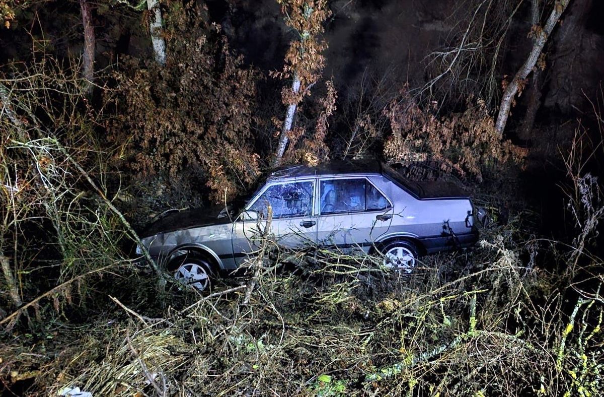 Bilecik'te devrilen otomobilin sürücüsü yaralandı