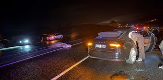 Bingöl'de ata çarpan otomobildeki 4 kişi yaralandı