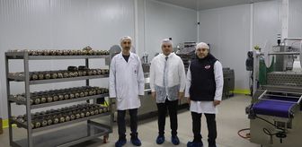 BİNTSO Başkanı Çintay'den et entegre tesisine ziyaret