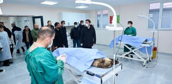 Bitlis'te 6 ayda 1752 sahipsiz köpek barınağa alındı