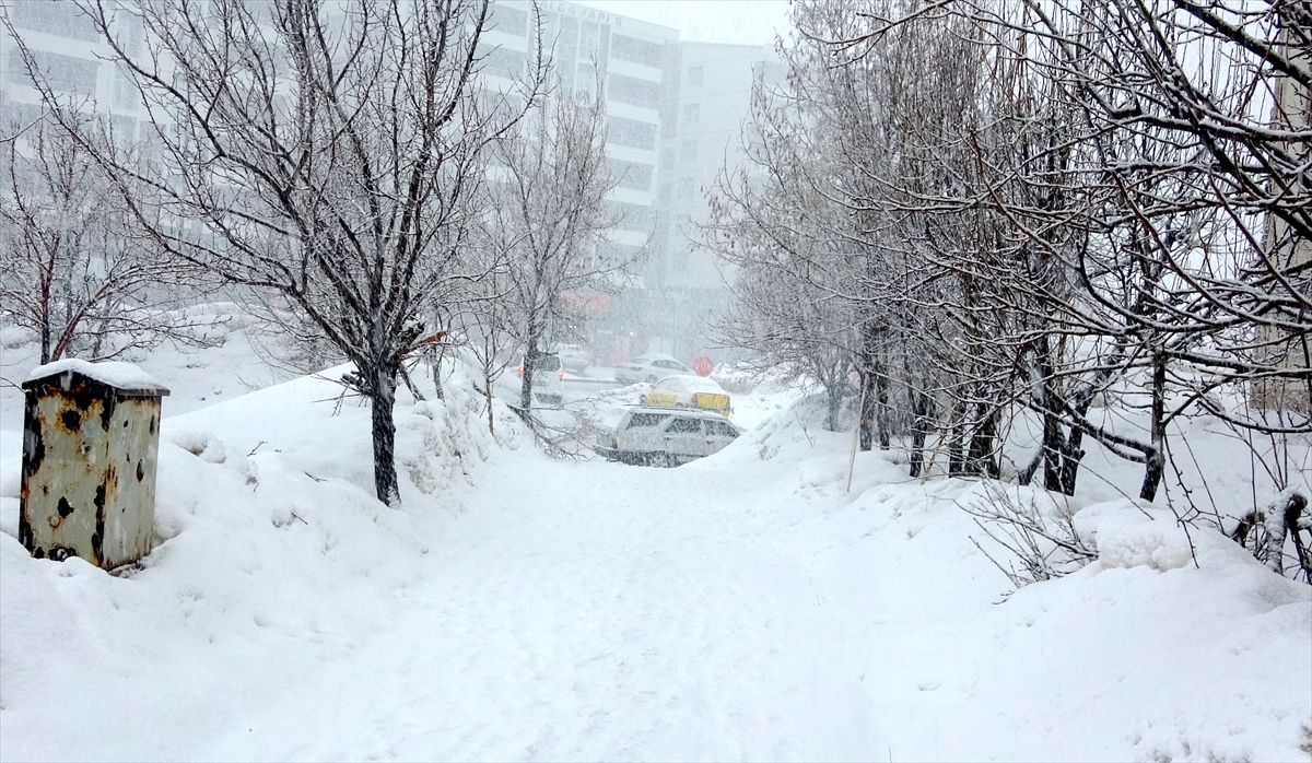 Bitlis'te kar etkili oldu