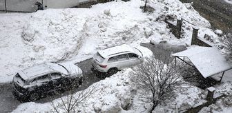 Bitlis'te kar etkili oldu