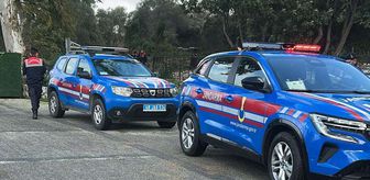 Bodrum'da 2 köpeğin tüfekle öldürülmesiyle ilgili 1 kişi yakalandı
