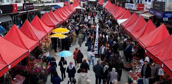 Bodrum'da 7. Acı Ot Festivali binlerce kişiyi ağırladı