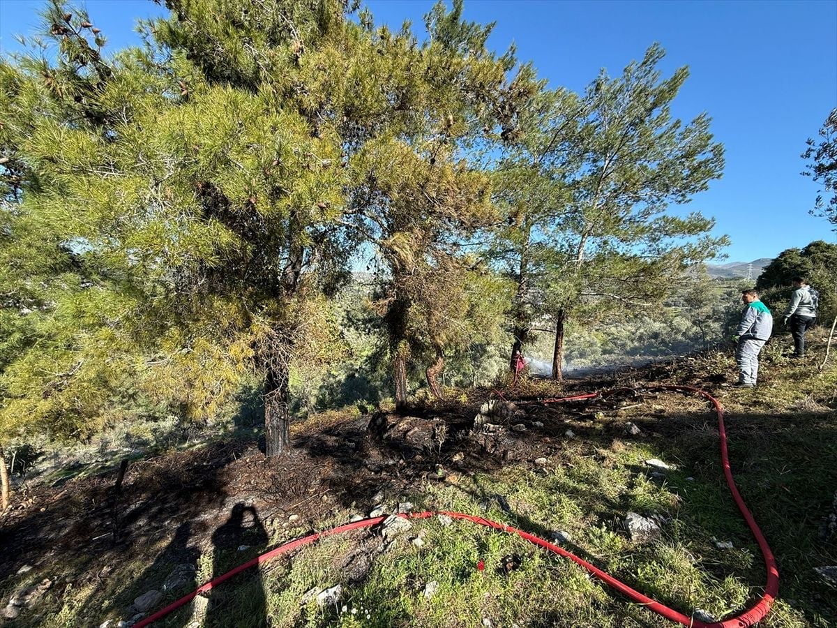 Bodrum'da ağaçlık alan yakınında çıkan yangın söndürüldü