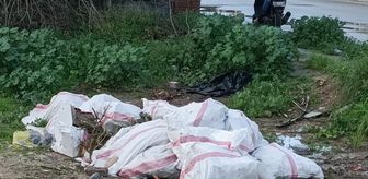 Bodrum'da boş araziye moloz ve atık döken kişiye 50 bin lira ceza